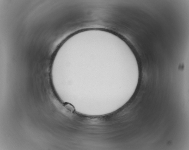 X0000113221460200910221114