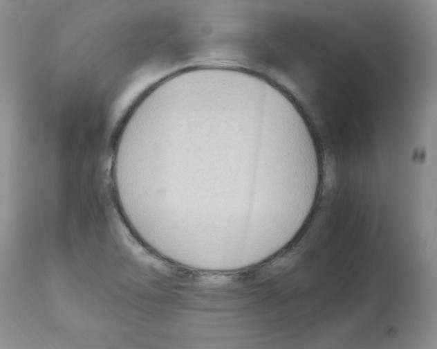 X0000113221462200910221114