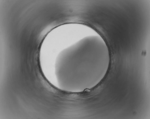 X0000113221463200910221114