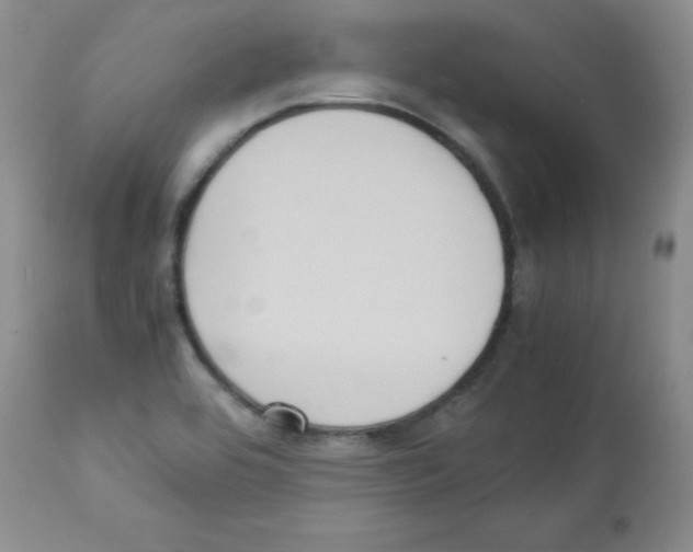 X0000113221464200910221114