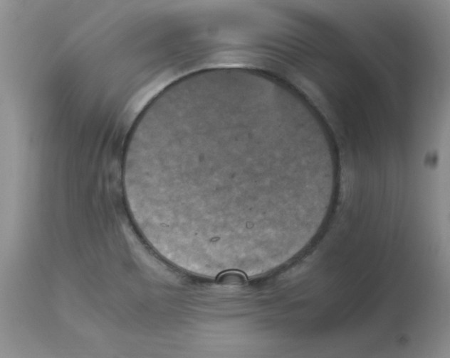 X0000113221465200910221114