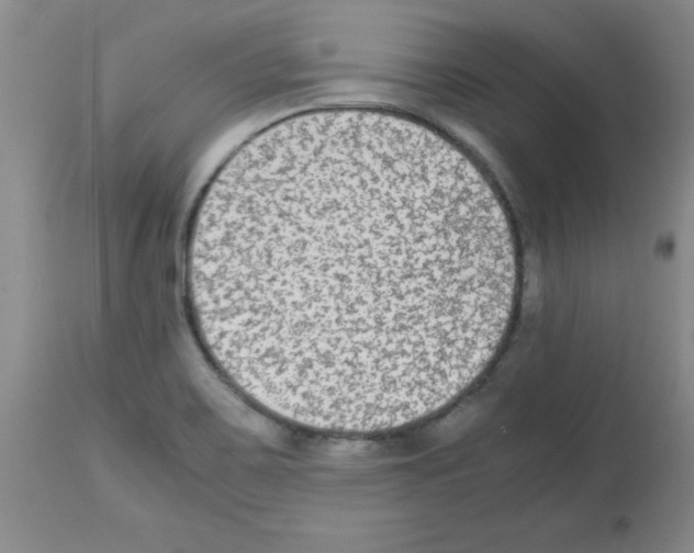 X0000113221467200910221114