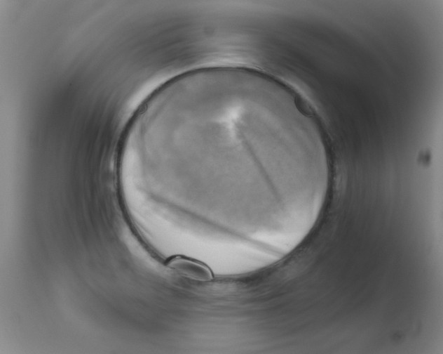 X0000113221468200910221114
