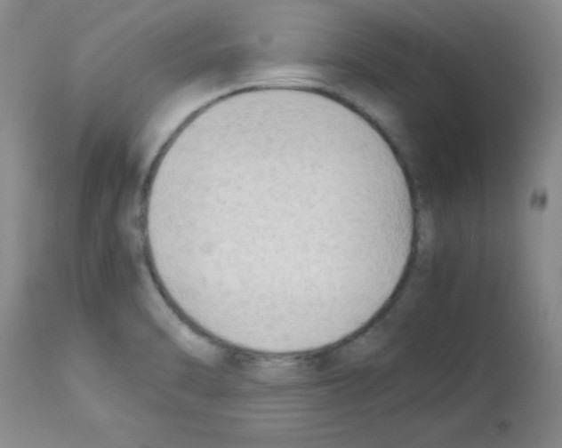 X0000113221470200910221114