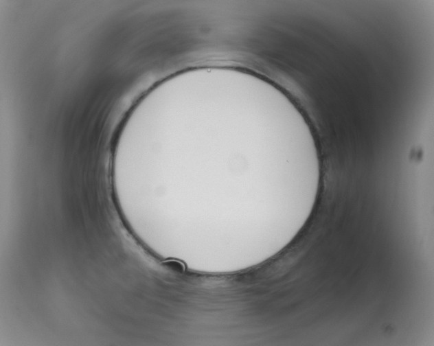 X0000113221472200910221114