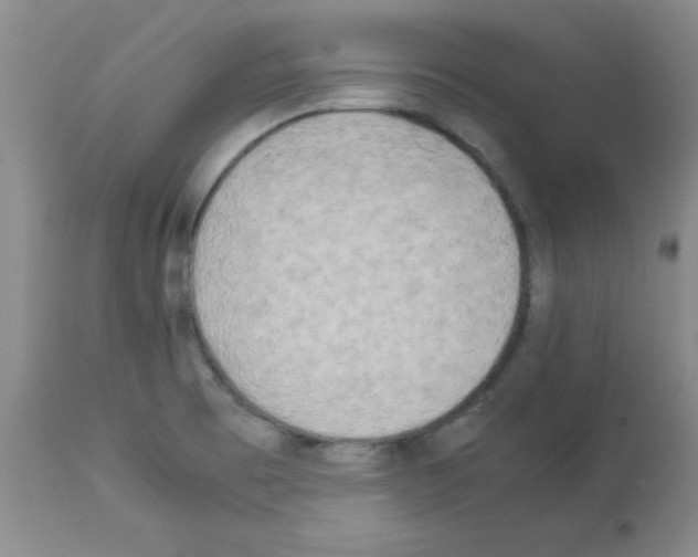 X0000113221473200910221114