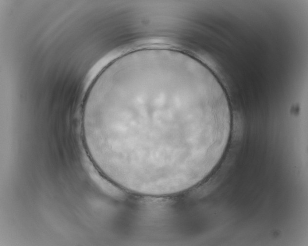 X0000113221474200910221114