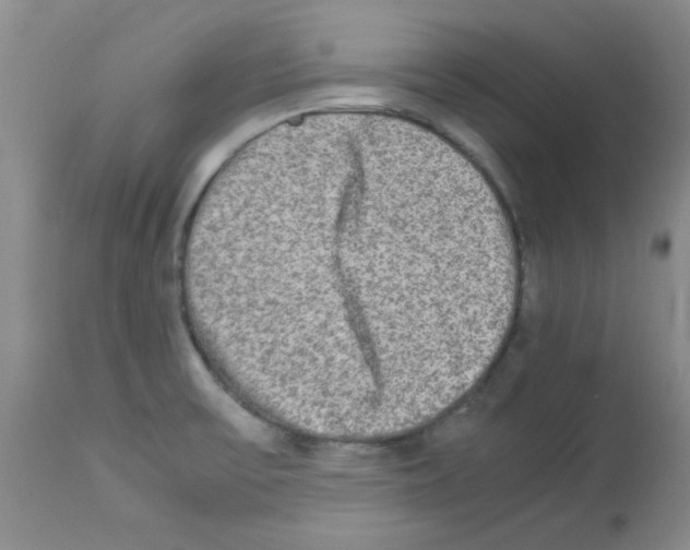 X0000113221475200910221114