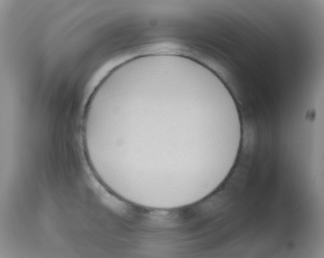 X0000113221478200910221114