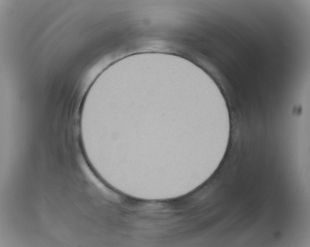 X0000113221479200910221114
