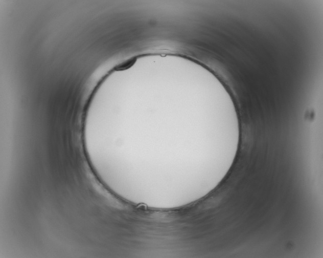 X0000113221480200910221114