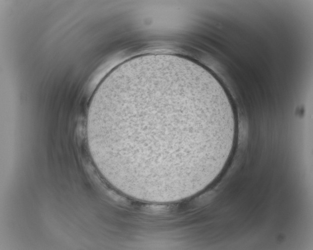 X0000113221481200910221114