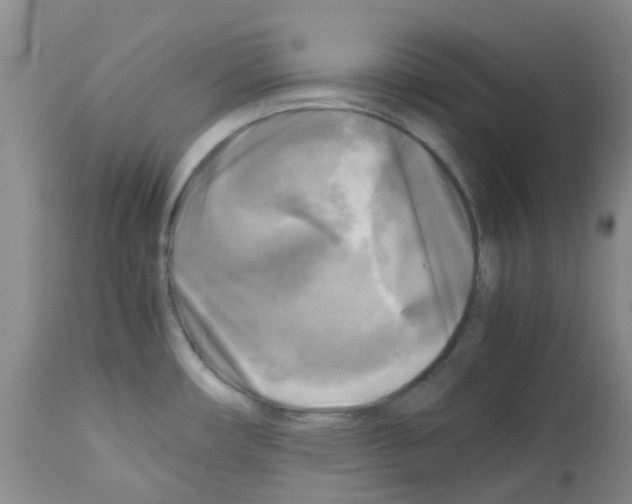 X0000113221482200910221114