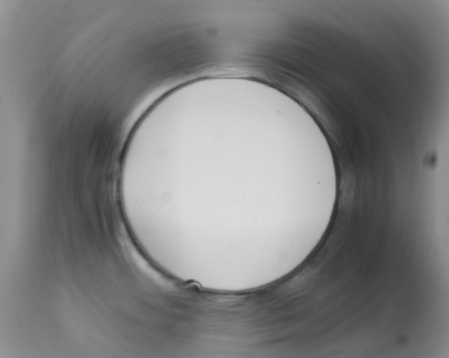 X0000113221484200910221114