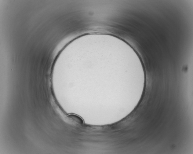 X0000113221485200910221114