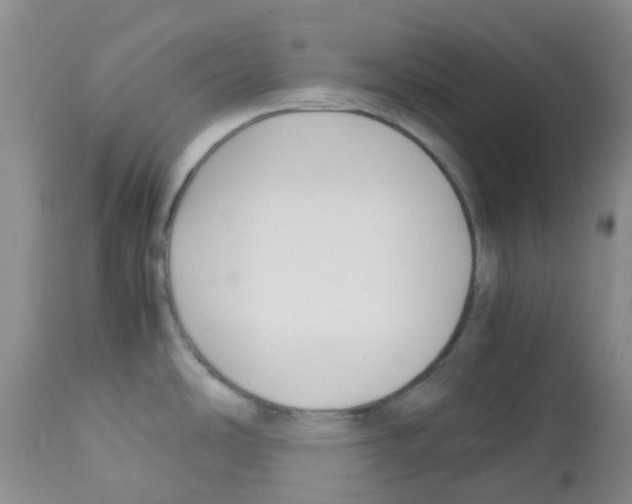 X0000113221486200910221114