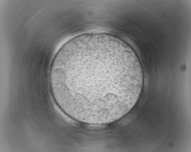 X0000113221487200910221114