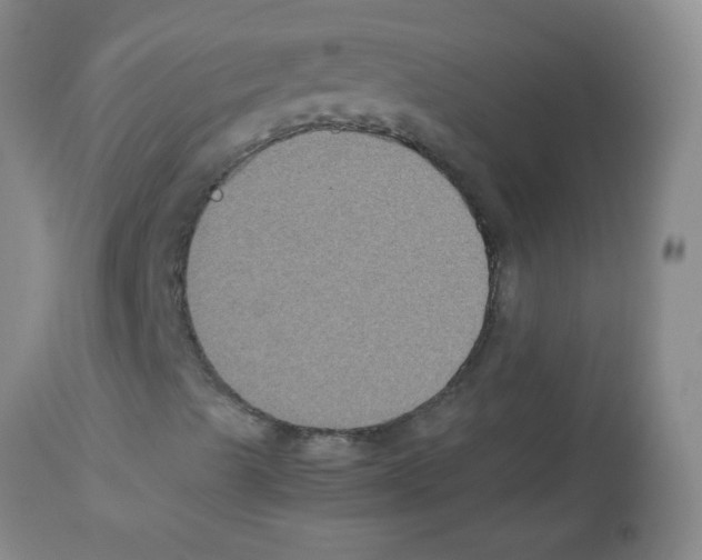 X0000113221489200910221113