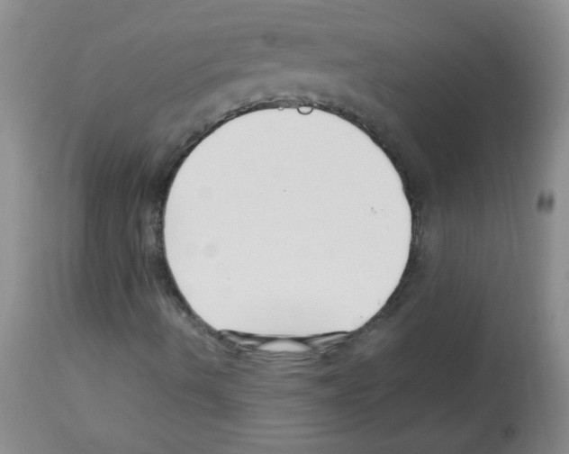 X0000113221490200910221113