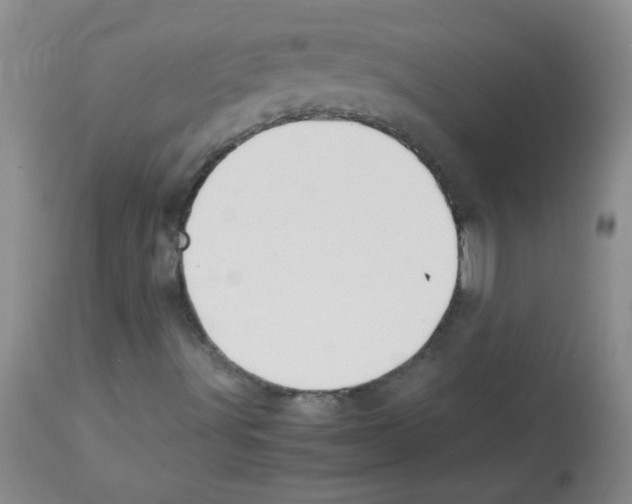 X0000113221491200910221113