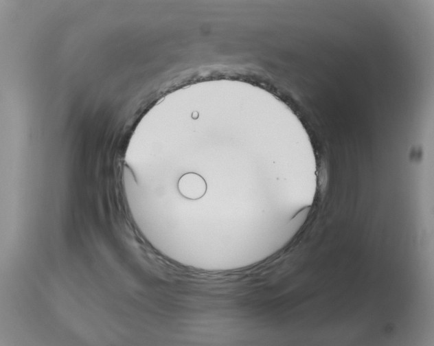 X0000113221492200910221113