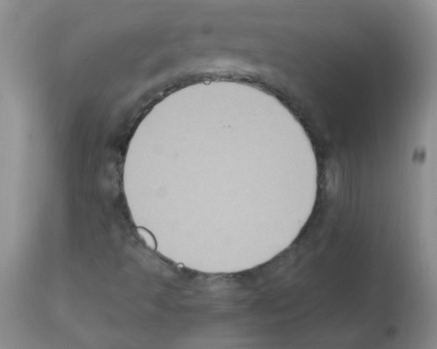 X0000113221493200910221113