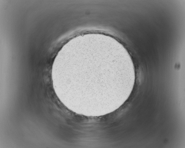 X0000113221494200910221113