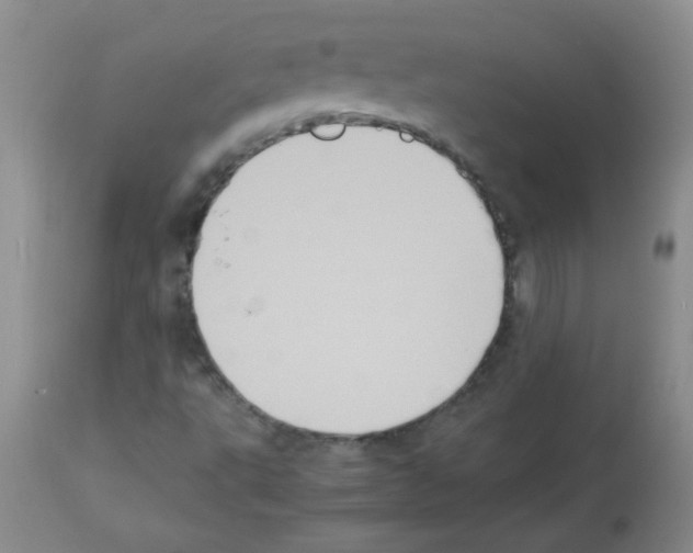 X0000113221495200910221113