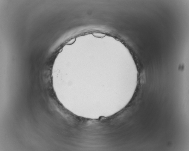 X0000113221496200910221113