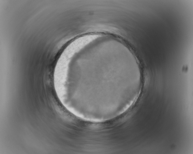 X0000113221497200910221113