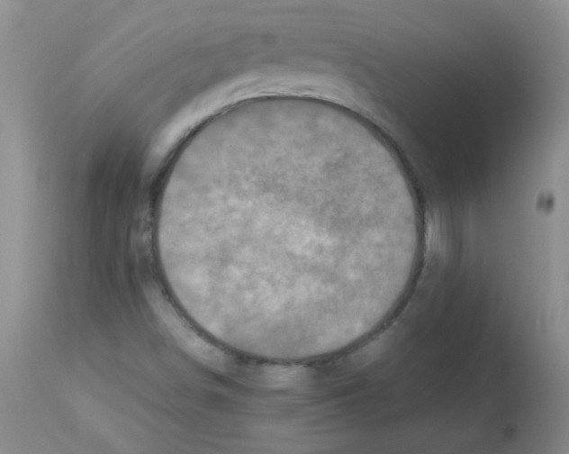 X0000113221498200910221113