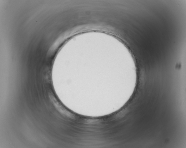 X0000113221499200910221113