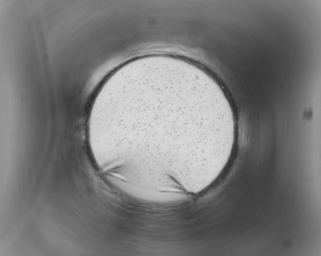 X0000113221501200910221113