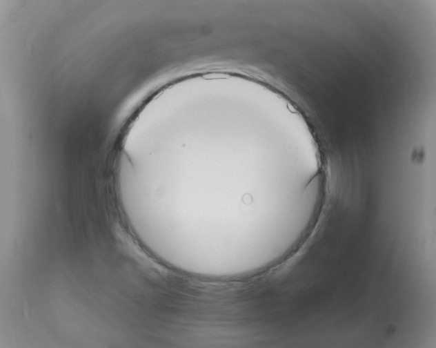 X0000113221502200910221113