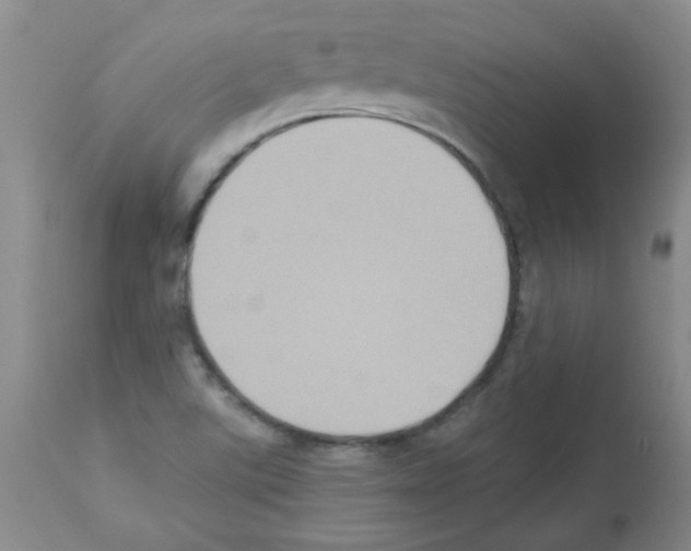 X0000113221507200910221113