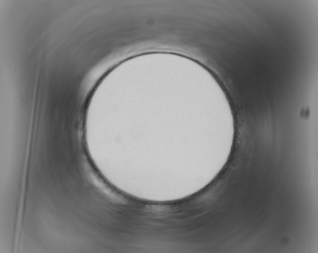 X0000113221511200910221113