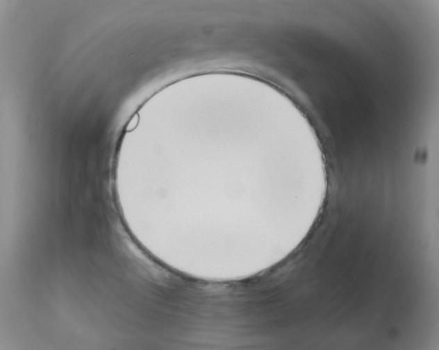 X0000113221512200910221114