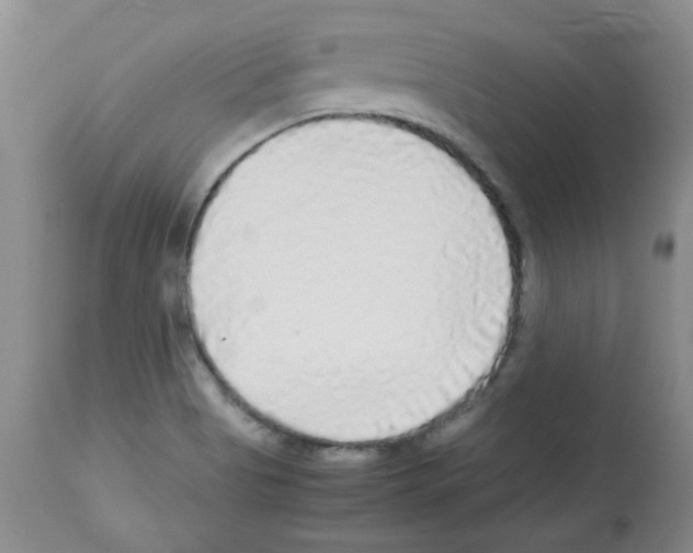X0000113221513200910221114