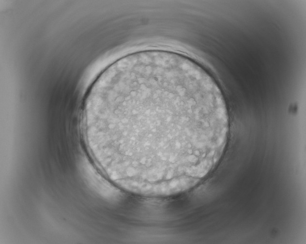 X0000113221514200910221114