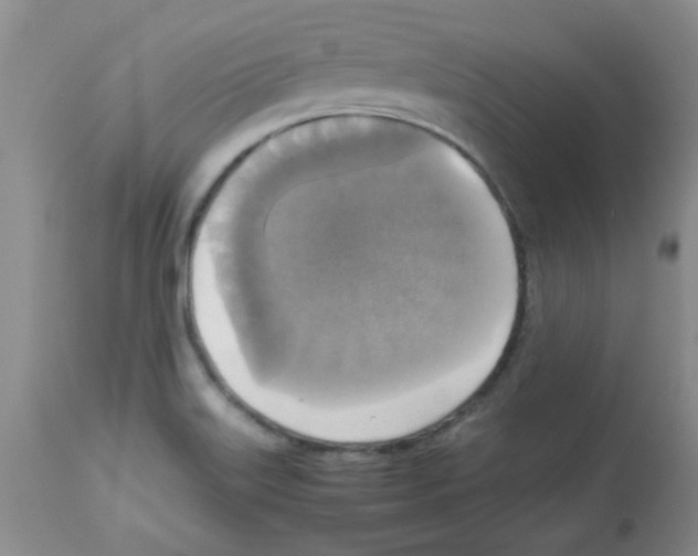 X0000113221515200910221114