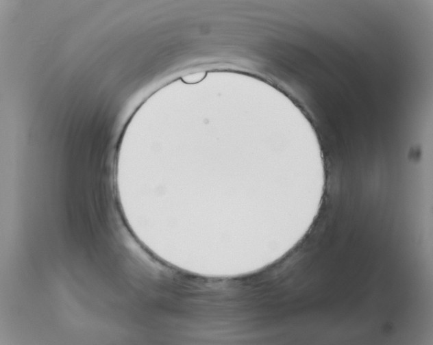 X0000113221516200910221114