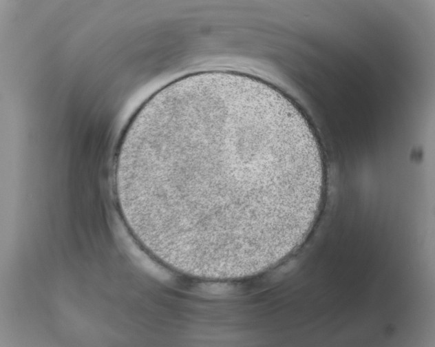 X0000113221517200910221114