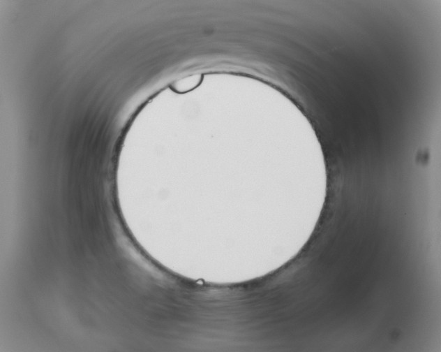 X0000113221518200910221114