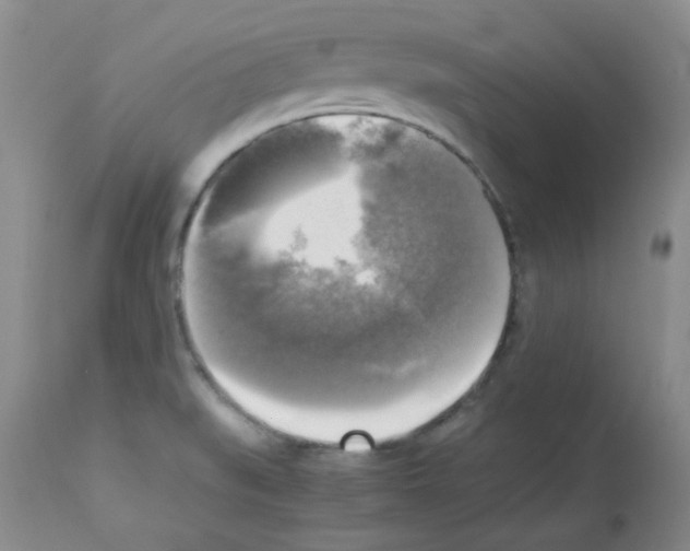 X0000113221519200910221114
