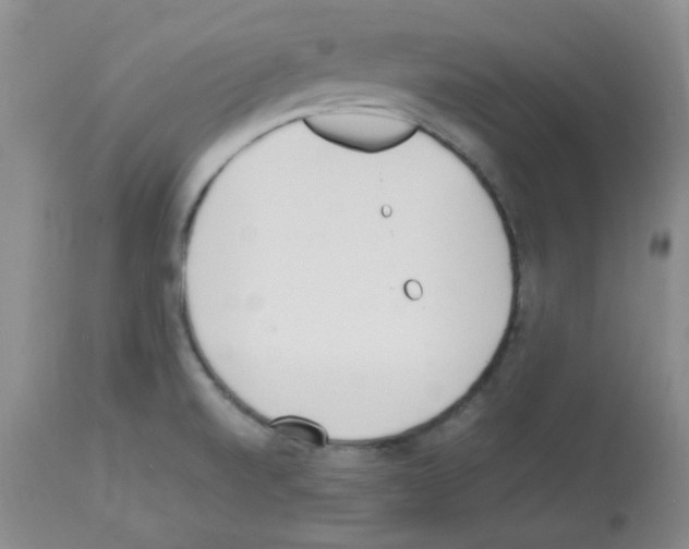 X0000113221520200910221114