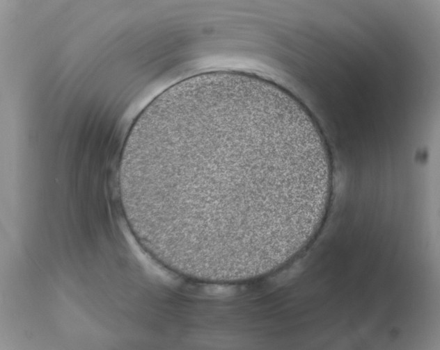 X0000113221521200910221114