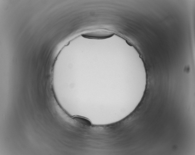 X0000113221524200910221114