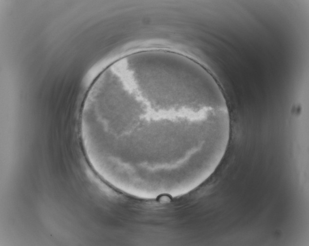 X0000113221527200910221114