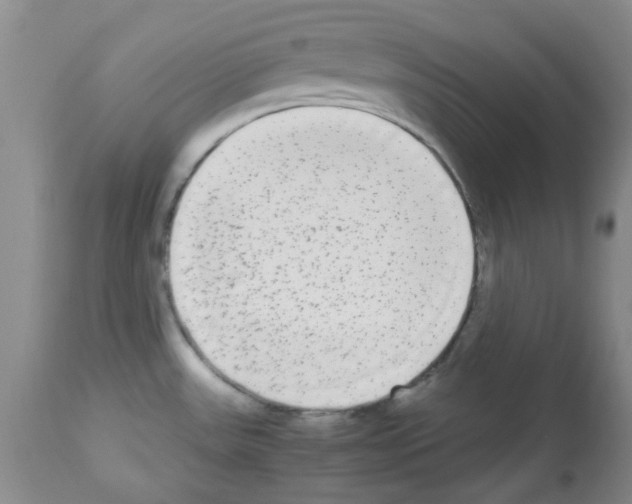 X0000113221531200910221114