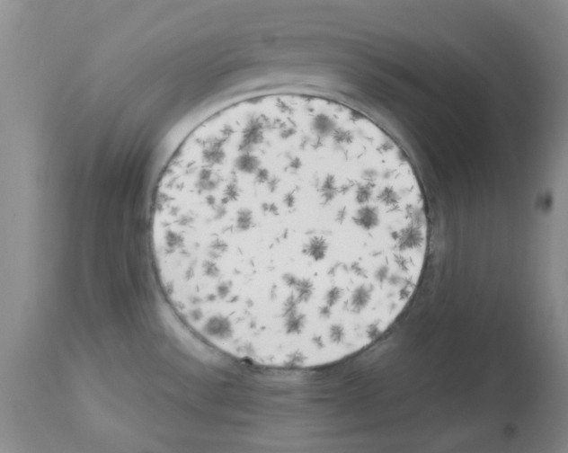 X0000113221532200910221114
